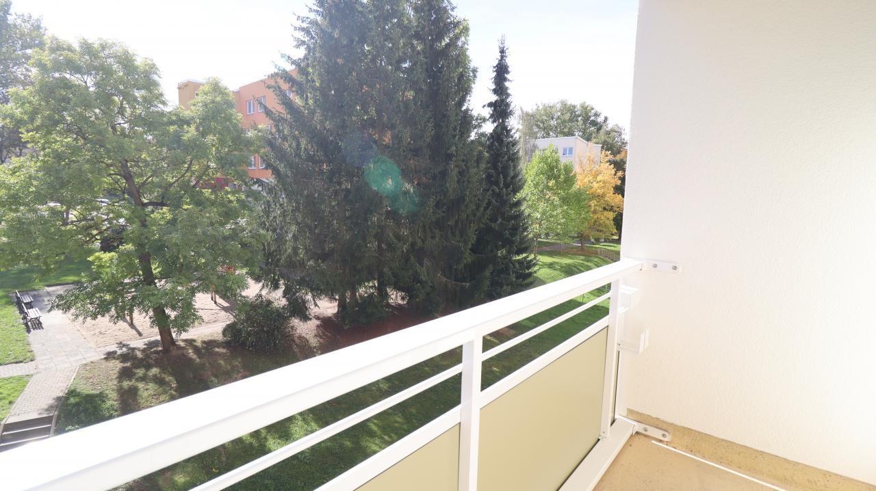Nicht schlecht, Herr Specht! SUPER 2-Zimmer-Wohnung *45 qm - Foto 4