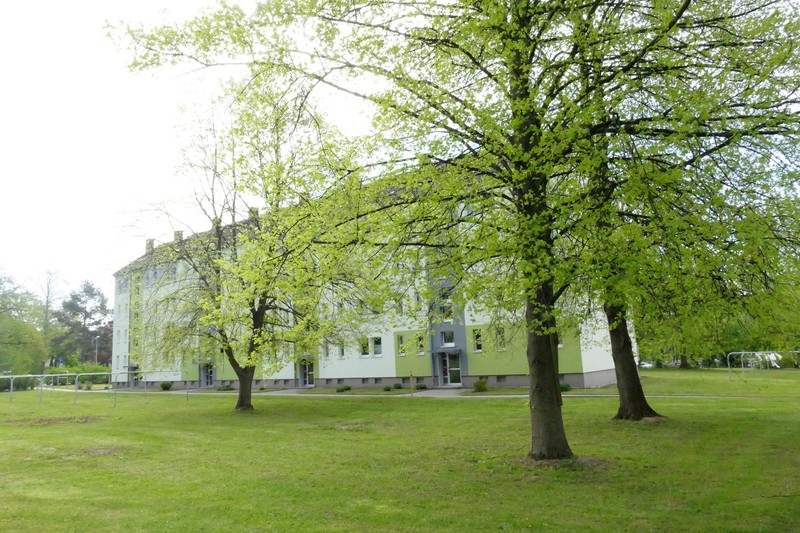 2-Zimmer im Erdgeschoss mitten in Grünen - Photo 4
